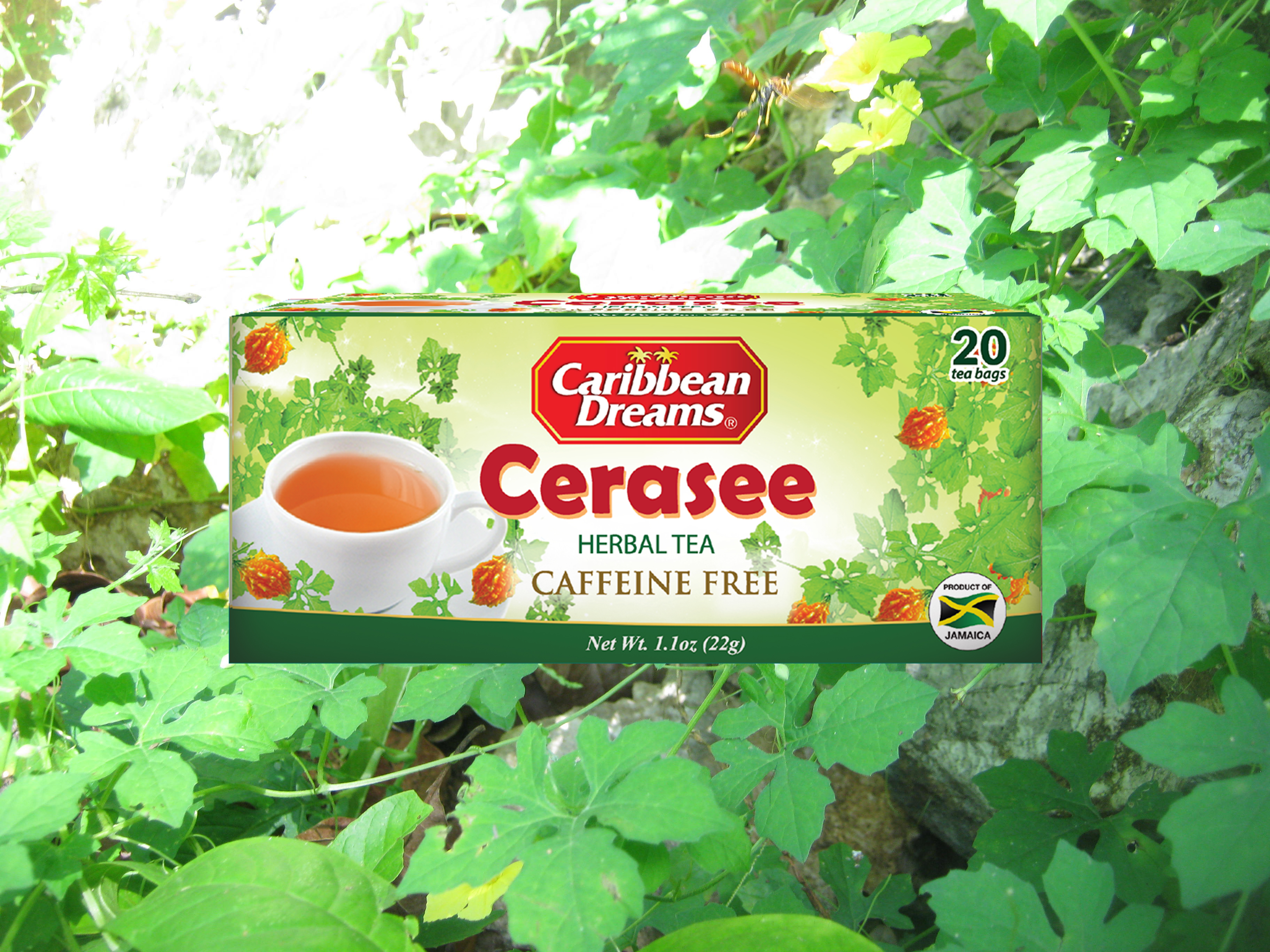 Cerasee in high demand as Jamaican Teas sees sales grow